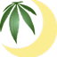 Logo for the brand Kiamichi Skies